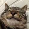 Keyla profil fotoğrafı