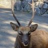 つの's profile picture