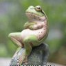 Gil profil fotoğrafı