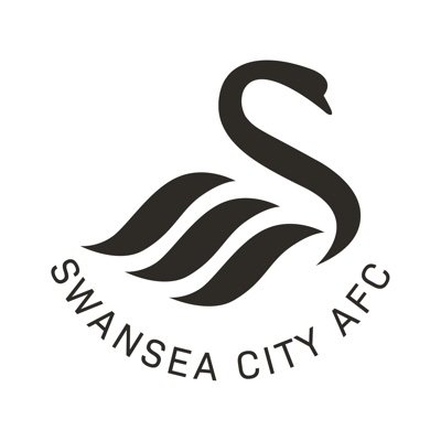 swans_academy's profile picture