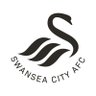 Swansea City Academy ็ๅคดๅ