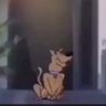 le S's profile picture
