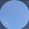 Christopher Mankowski (for record)'s profile picture
