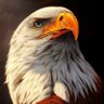 Jc Rodríguez's profile picture