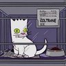 Coltrane's profile picture