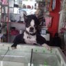 Micho 的头像
