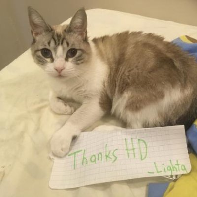 Lighta888's profile picture