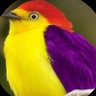 Rojoynegro's profile picture