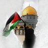 Profilbild von Mohammad Abualaish