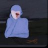 Profilbild von أ