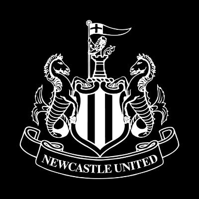 Newcastle United's profile picture