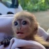 Jimmy Tacos's profile picture