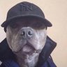Tilski💰 profil fotoğrafı