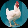 Profilbild von Nshuti w'Inkoko🐓