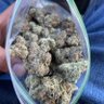 sd 的头像