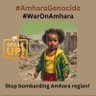 StopAmharaGenocide 的头像