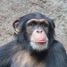 Фото профиля Monke_V