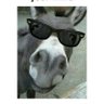 Donkz profil fotoğrafı