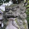 常識人 的头像