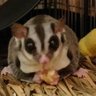 Profilbild von jun momo