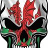 craftsman's profile picture
