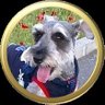 しょうちゃん/👀🌌🐕🦺【大和憲実隊】 profil fotoğrafı