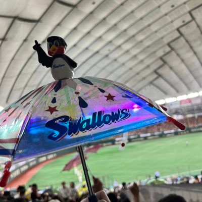 kokusaidate's profile picture