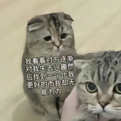 meoray17's profile picture