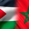 حمزة الإدريسي بوغنبور's profile picture