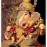 Фото профиля म. करणी सेना