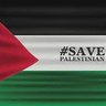 Mohamed Beltagy's profile picture