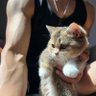 没有姓名怎么办's profile picture