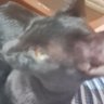 hum.. profil fotoğrafı