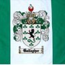 Gambi53 ☘️🇮🇪🇵🇸 的头像