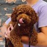 josh 🥷's profile picture