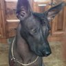 Фото профиля Xolodog