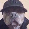 Profilbild von sixqo