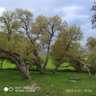 zagros 的头像
