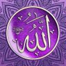 احمد ذاکر's profile picture
