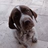 Paul Farnon's profile picture