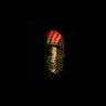 Basimoz 🍂🇵🇸's profile picture