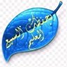 shams amin profil fotoğrafı