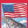 American Vermin 的头像