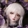 星彩(さあや)アートを巡る旅と花の写真's profile picture