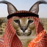 King Floppa II 🇵🇸's profile picture