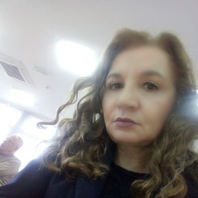 Mare Karanfilovic's profile picture