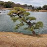Фото профиля みるくのママ
