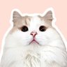 Profilbild von ぽてねのアポロとチロル兄さん