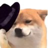 Profilbild von 我都想笑笑了