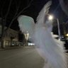 sebaphim profil fotoğrafı